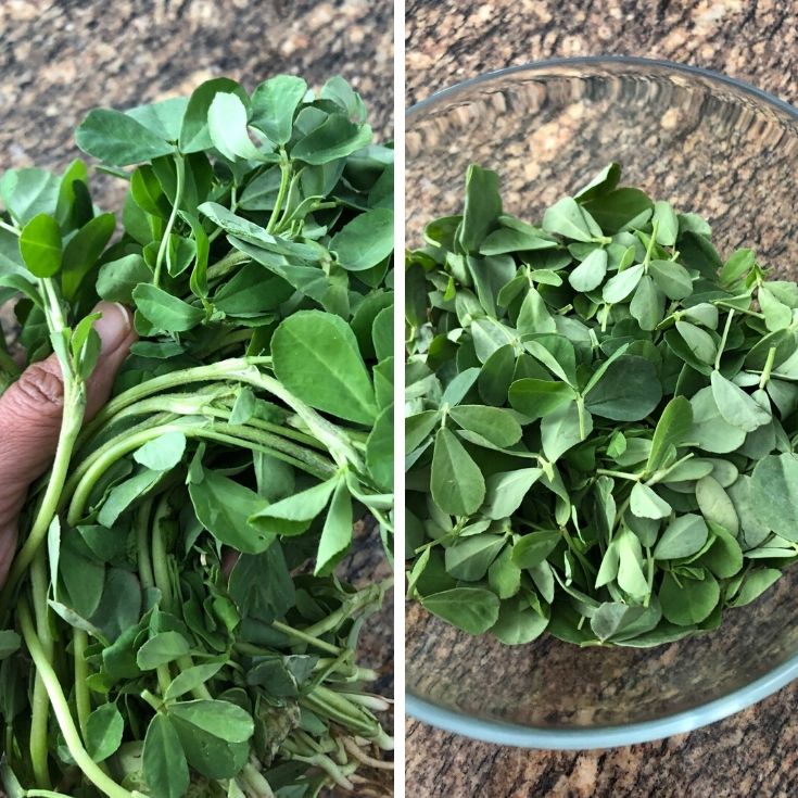 Bunch of methi leaves and a bowl of prepped leaves