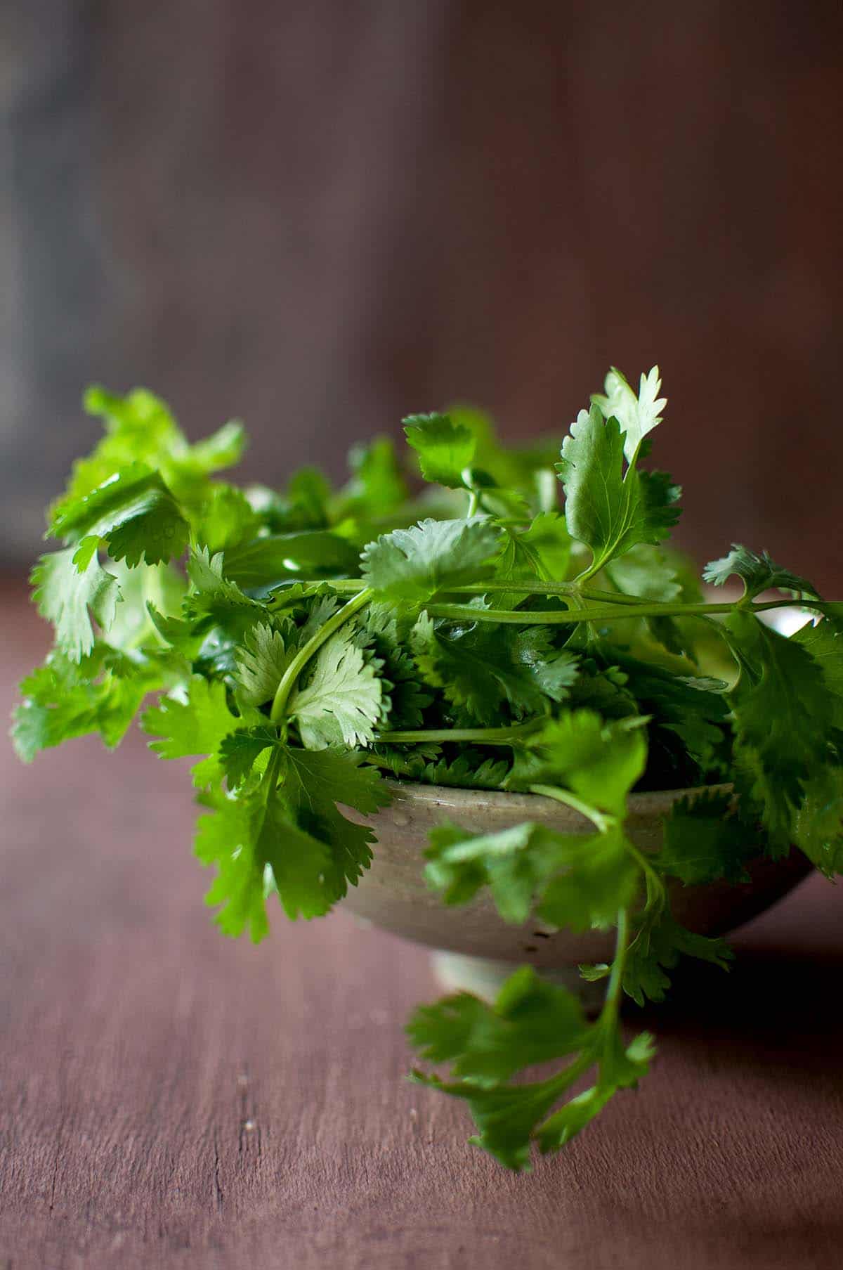 Grey bowl with fresh cilantro