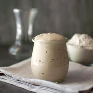 Small glass jar with fully risen potato sourdough starter