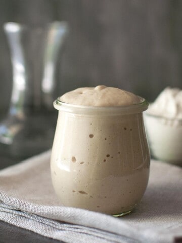 Small glass jar with fully risen potato sourdough starter