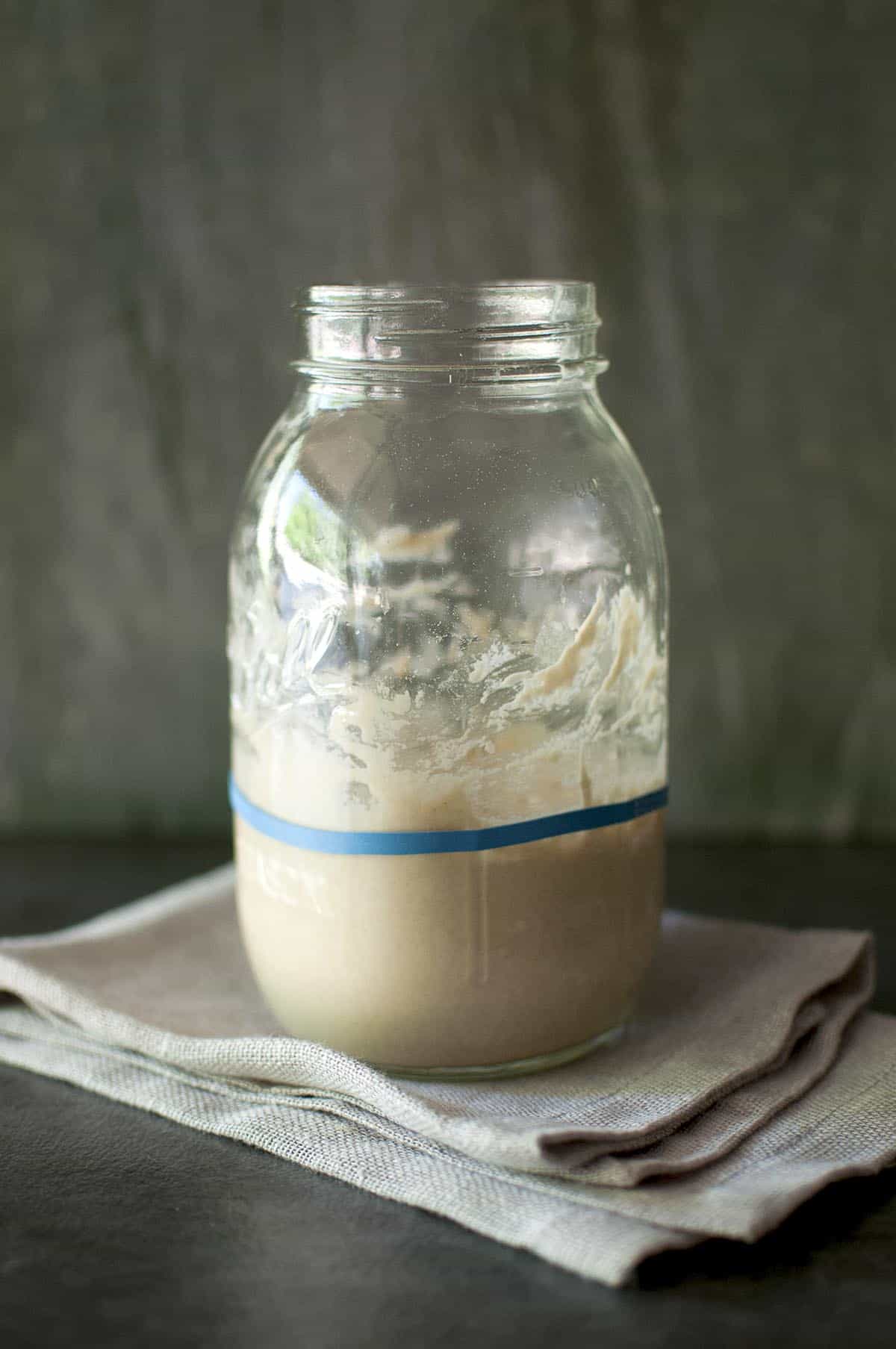 Mason jar with potato sourdough starter right after feeding