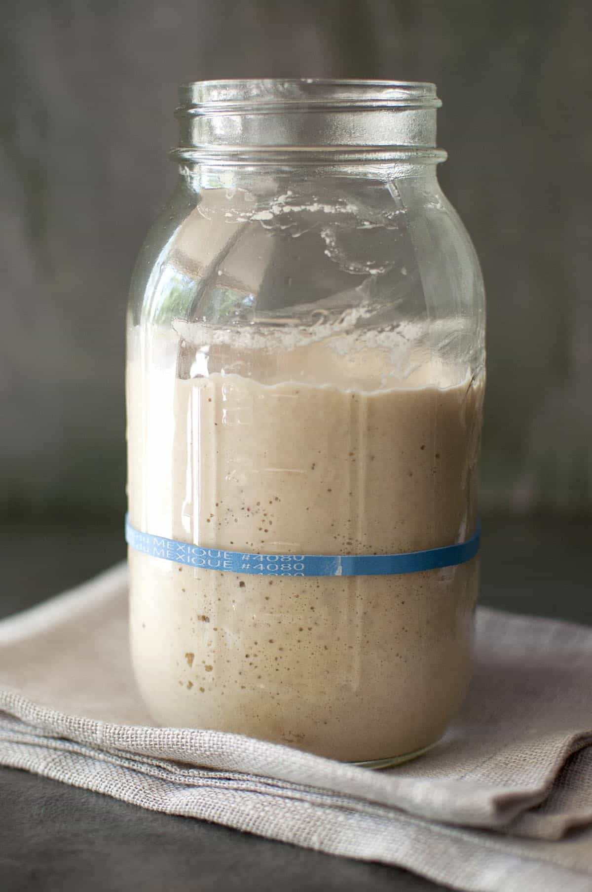 Mason jar with potato sourdough starter after 4 hours of feeding