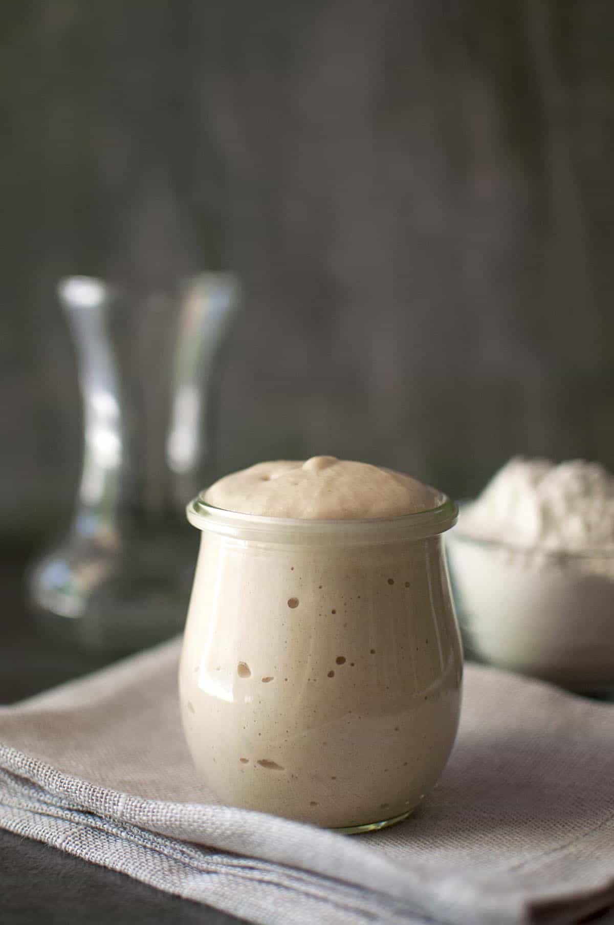 Small glass jar with fully risen potato sourdough starter