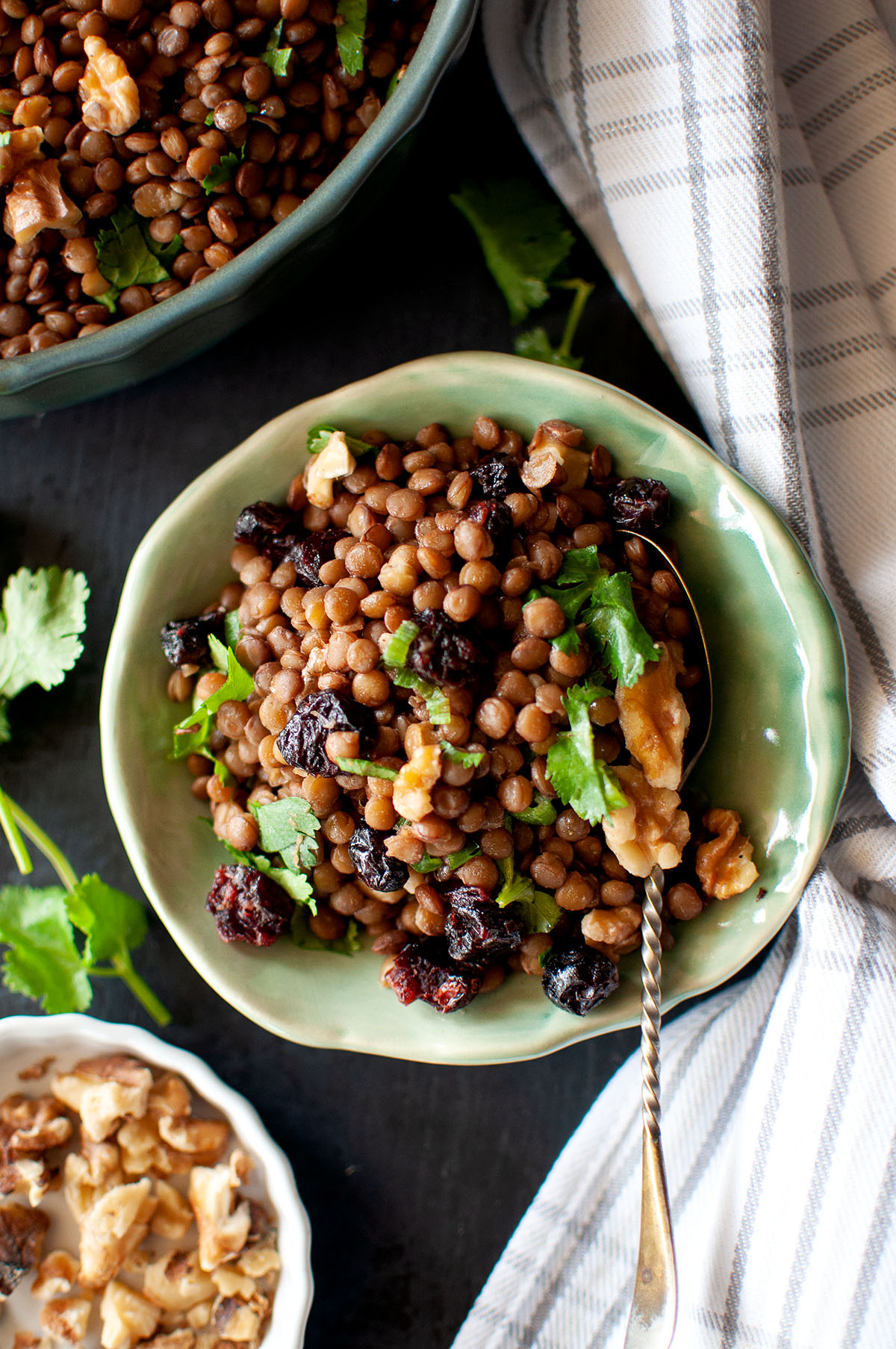 Green plate with lentils, cranberries and walnuts.