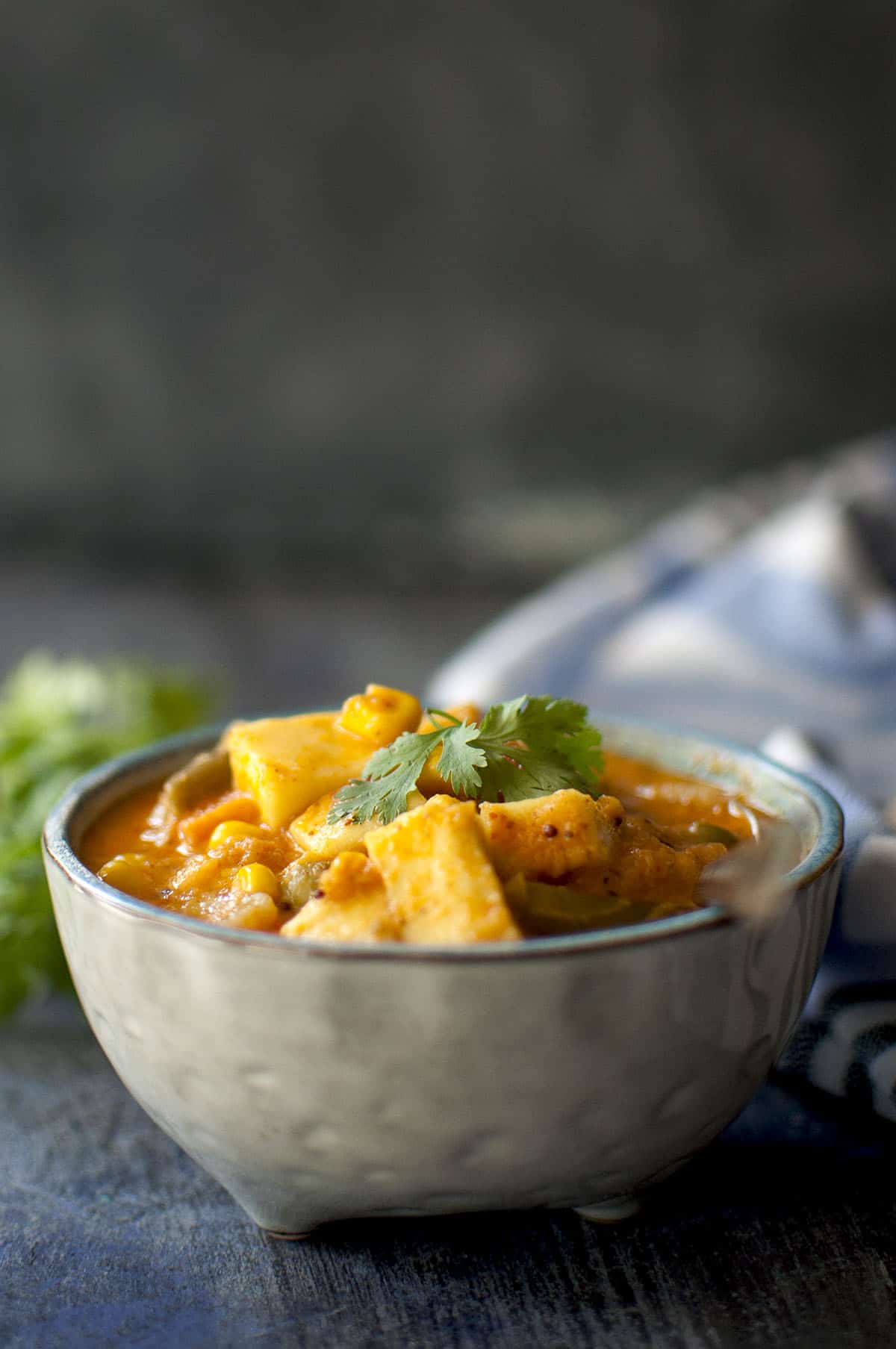 Grey bowl with vegetable curry and cilantro on top