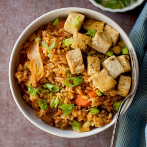 Top view of a bowl with fried rice.