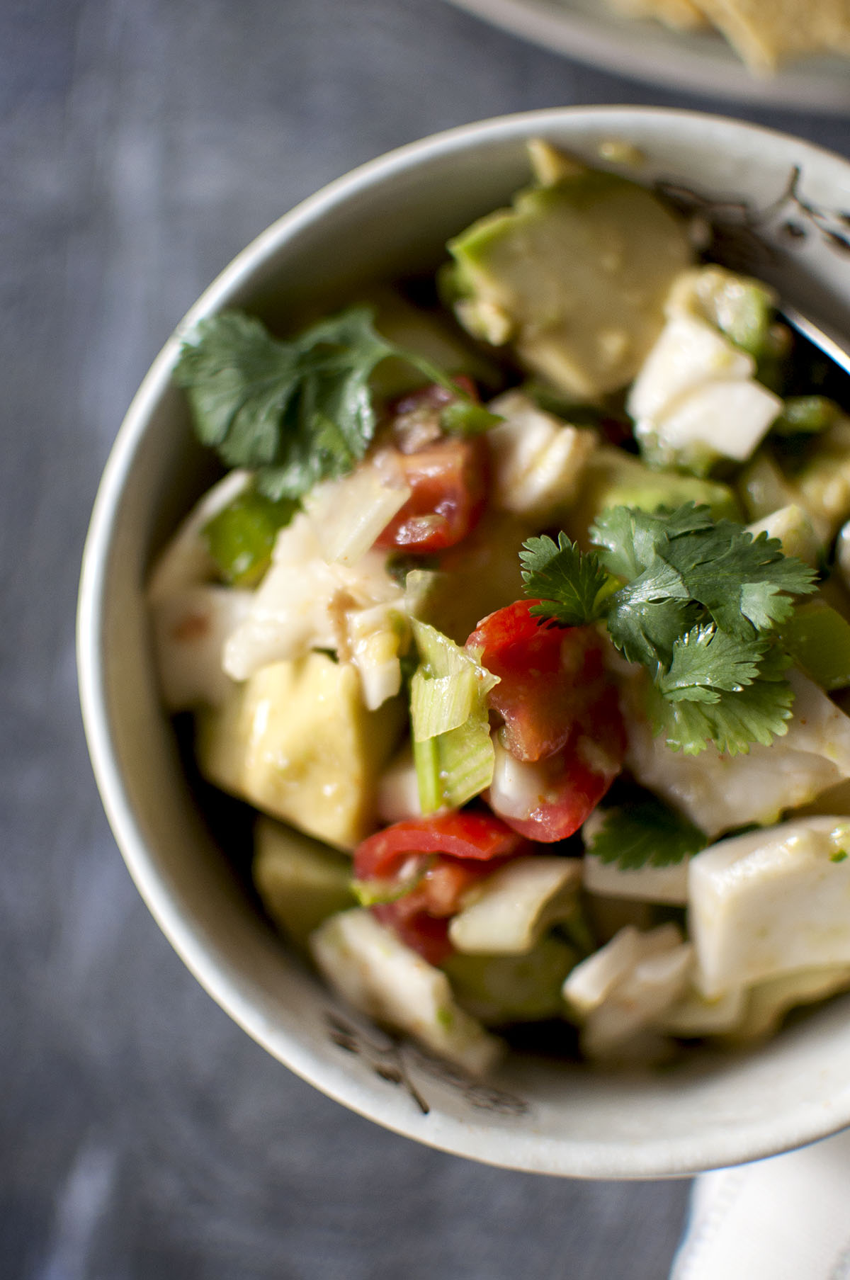 White bowl with ceviche topped with fresh cilantro