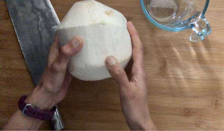 Hands holding young coconut