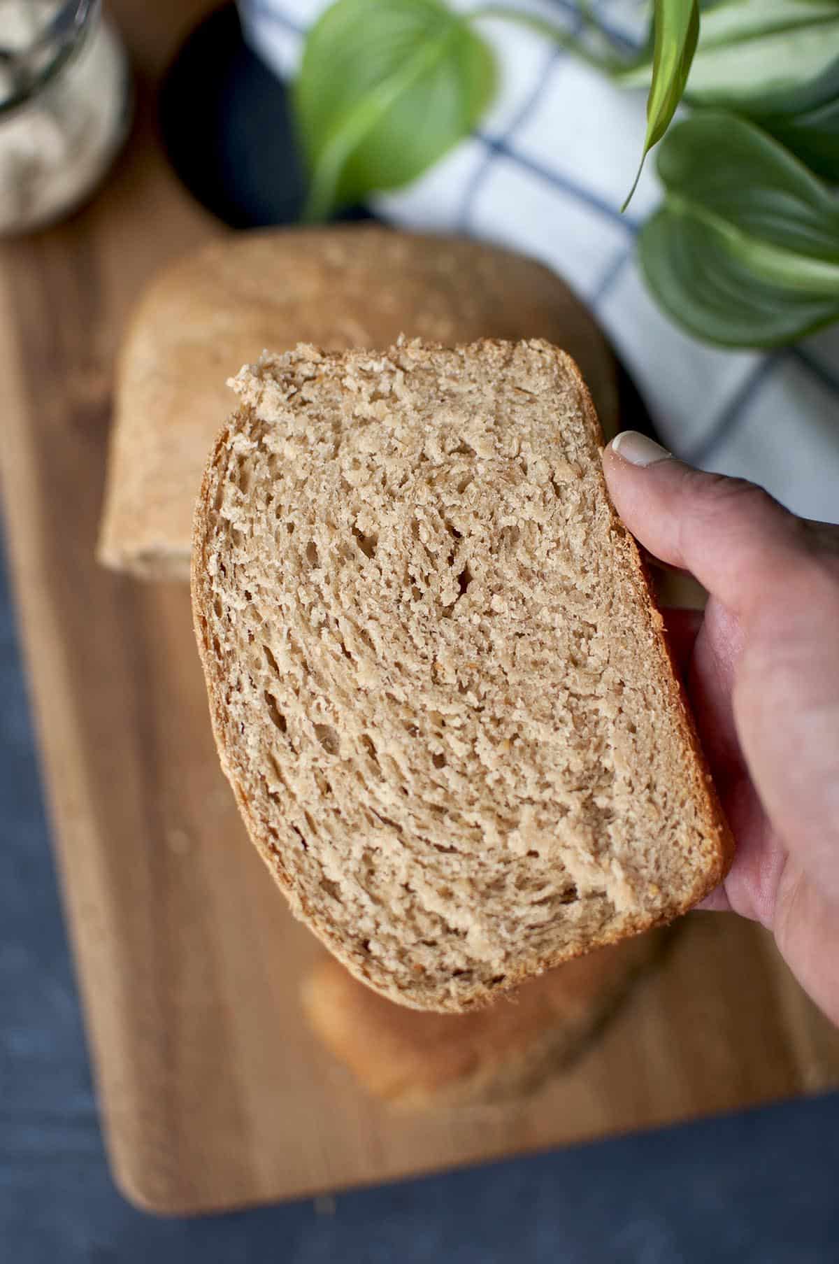 Hand holding a slice of hummus bread