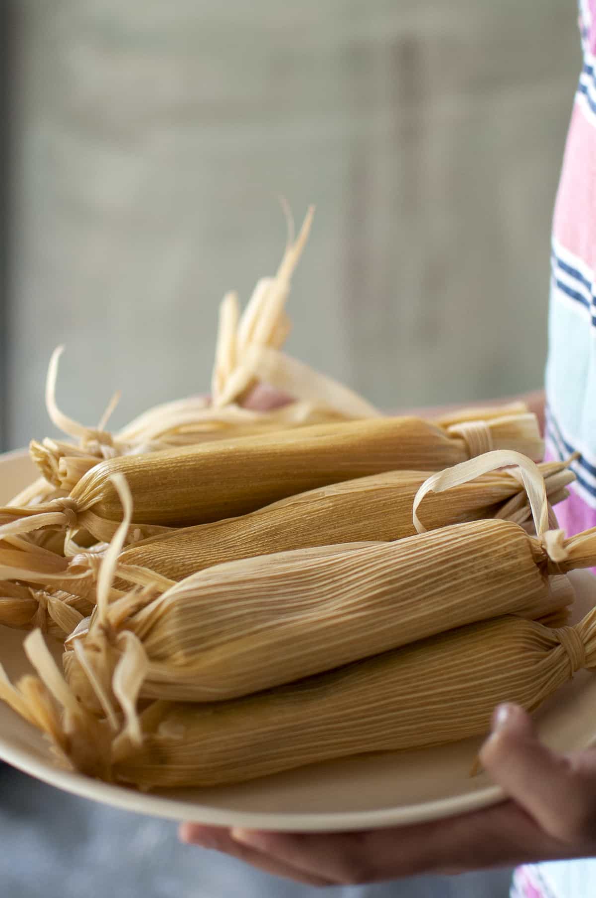 Plate with stack of tamale