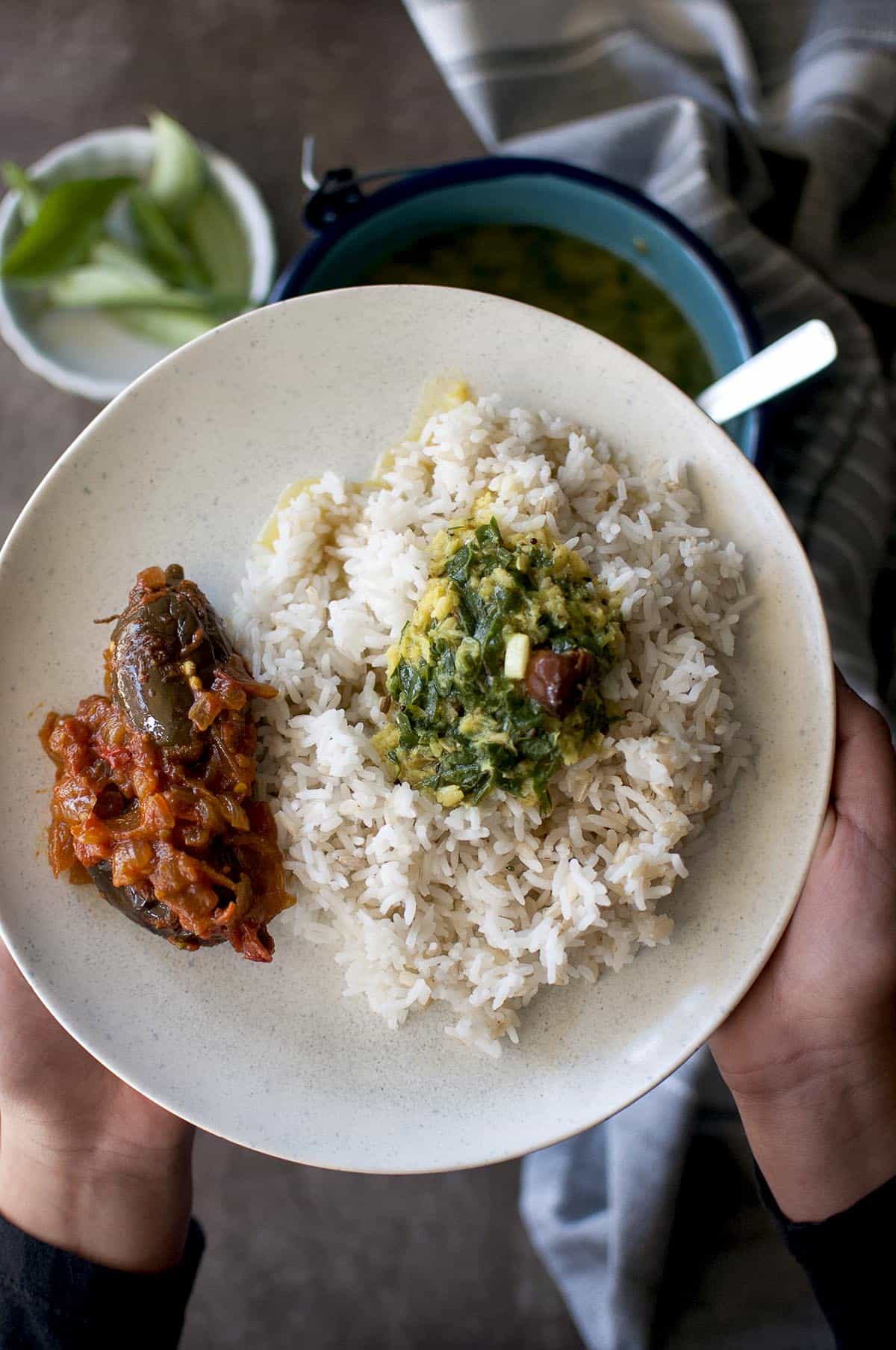 Hand holding a plate with rice topped with dal and curry