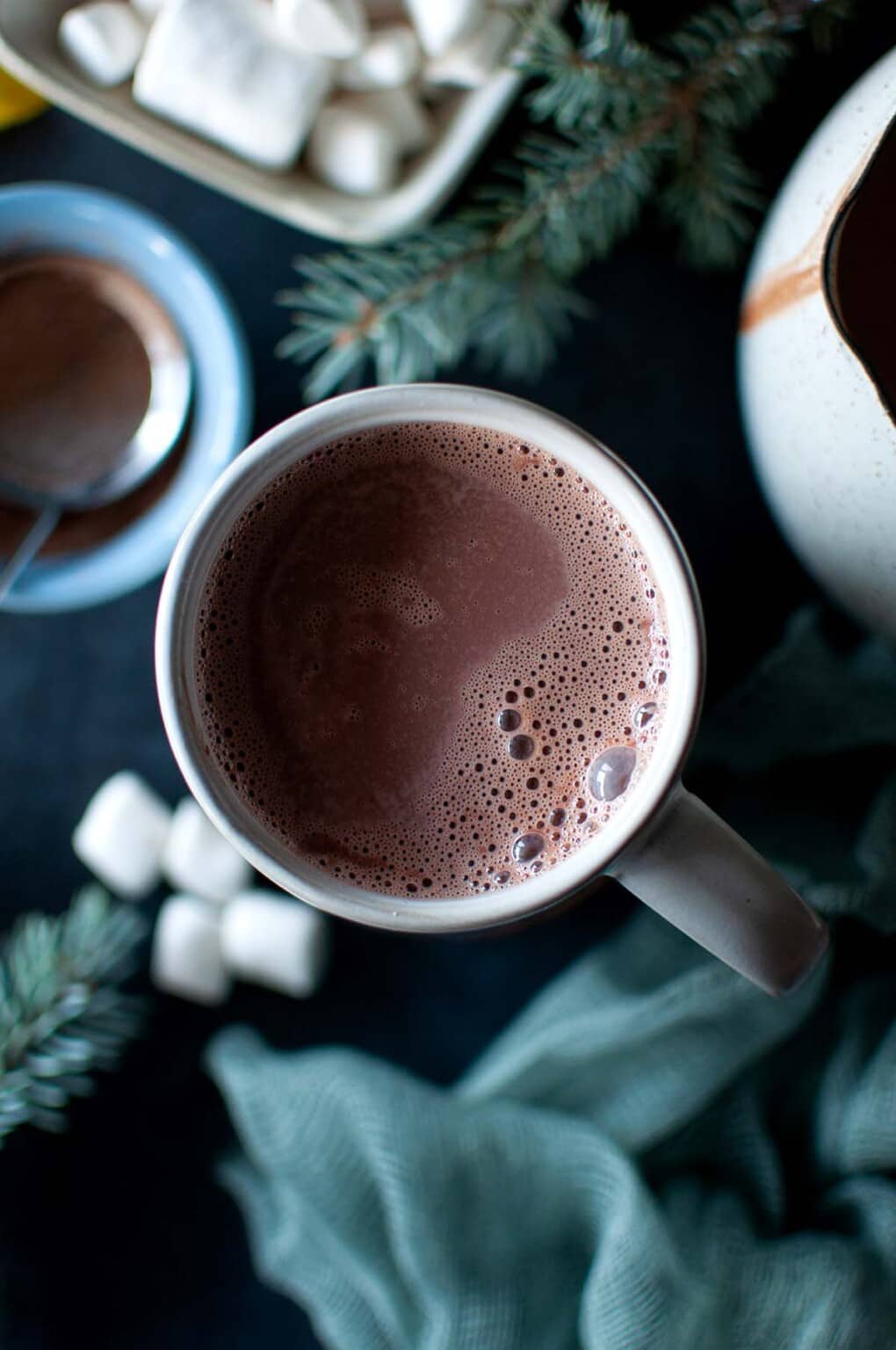Hot Cocoa with Cacao powder Cook's Hideout