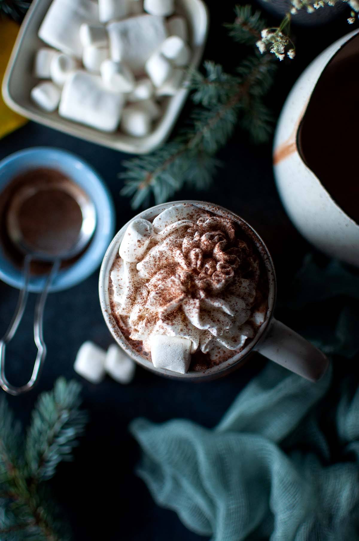 Top view of grey mug with hot cocoa topped with whipped cream