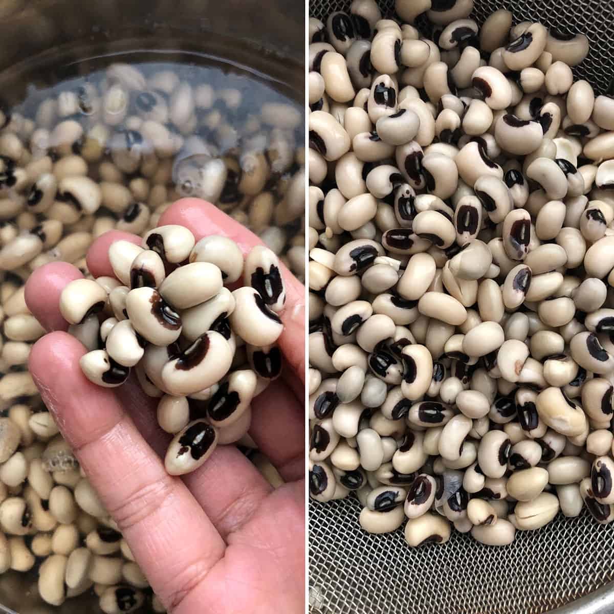 Side by side photos of before and after soaking beans 