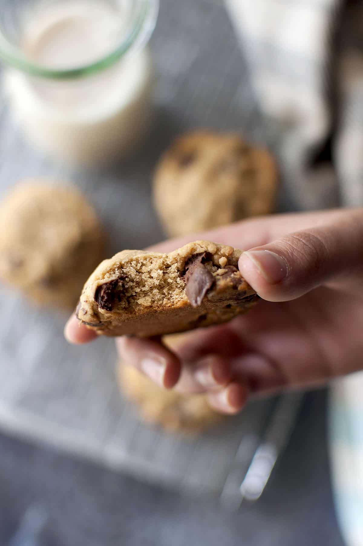 Hand holding a half piece of cookie