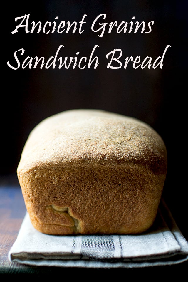 Sandwich bread made with Ancient grains flour