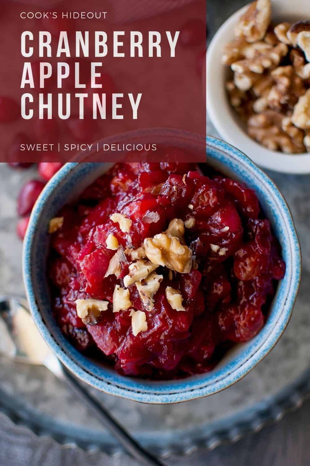 Easy Cranberry Apple Chutney Recipe | Cook&amp;#39;s Hideout