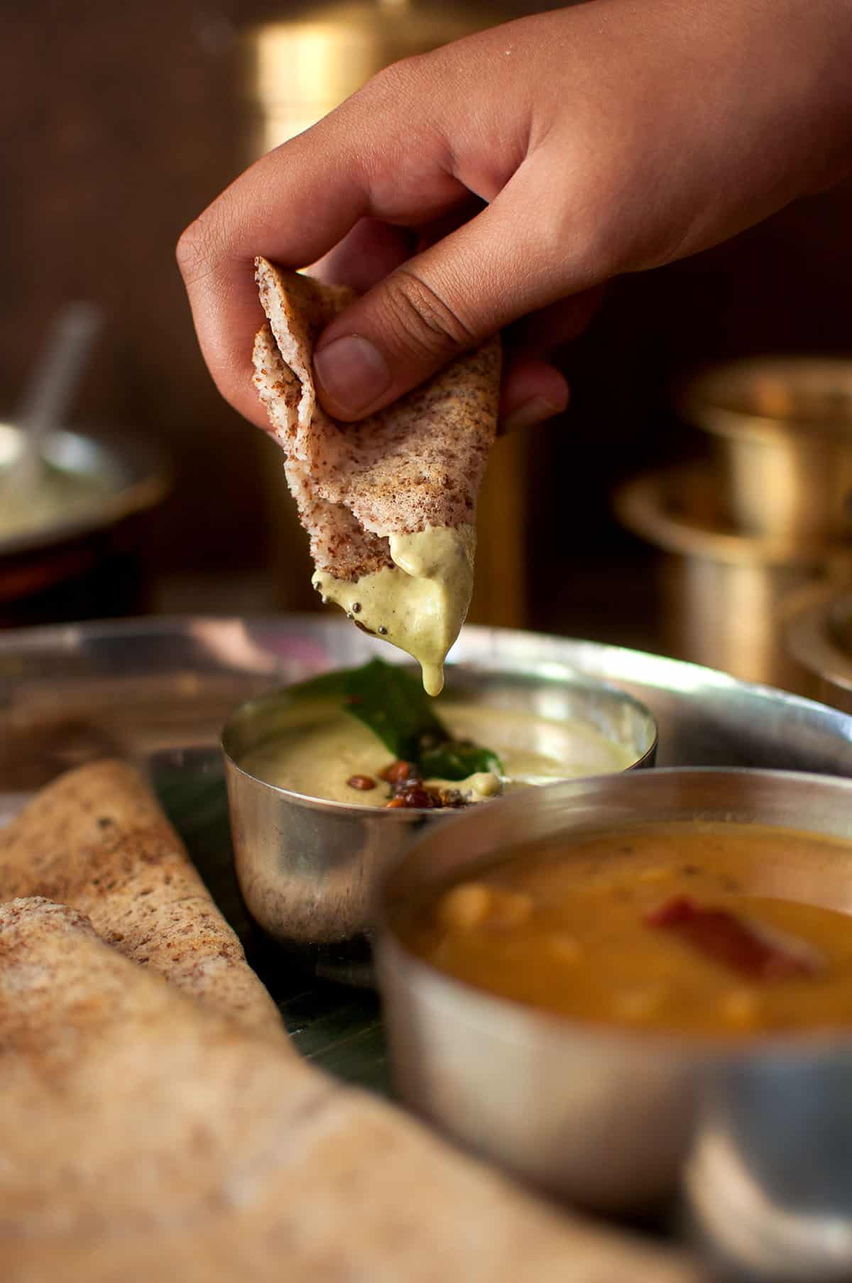 Hand holding sprouted ragi dosa dipped in chutney.