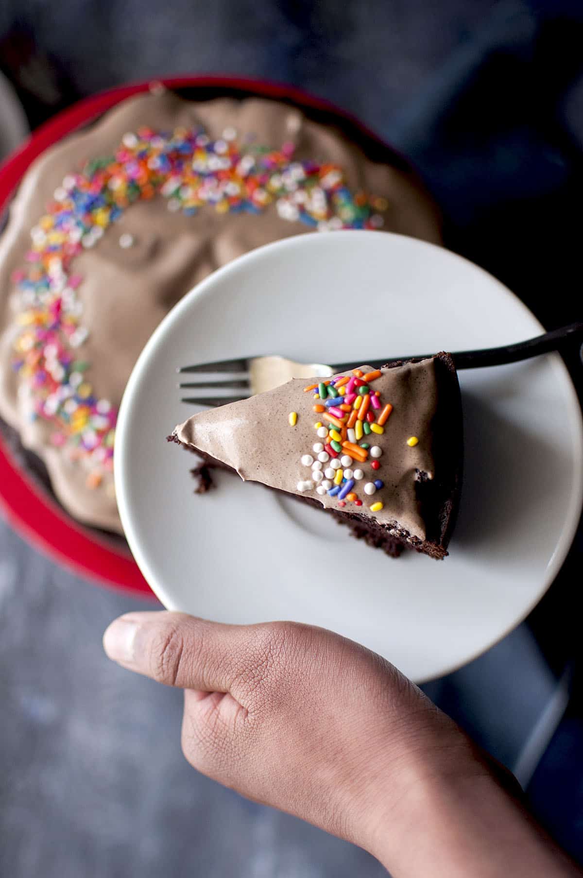 Hand holding a white plate with a slice of chocolate cake topped with chocolate whipped cream and sprinkles