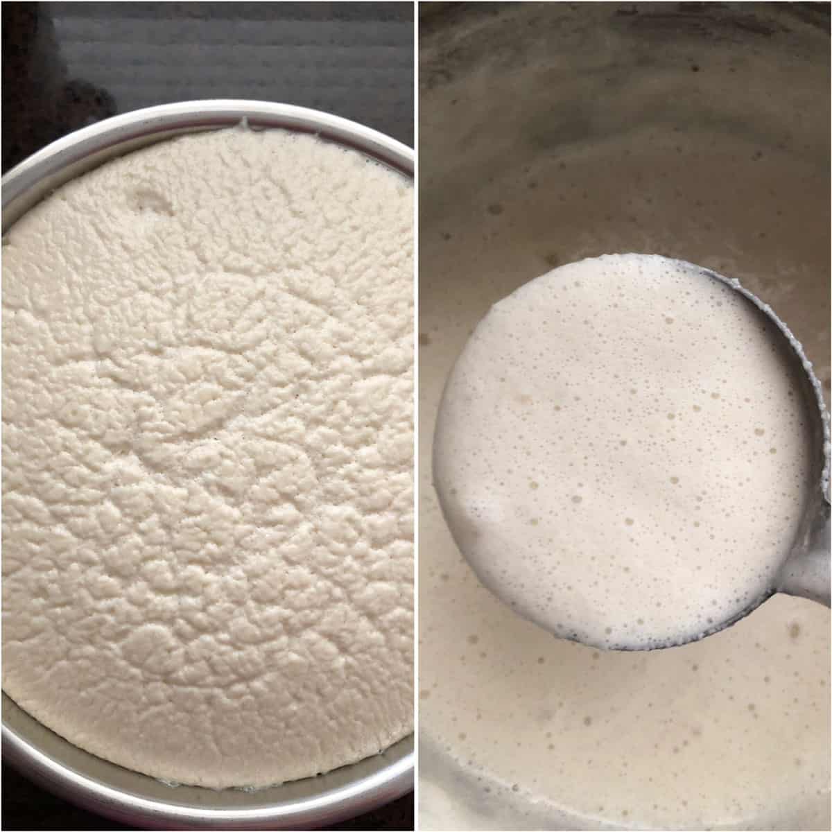 Photos of well fermented batter