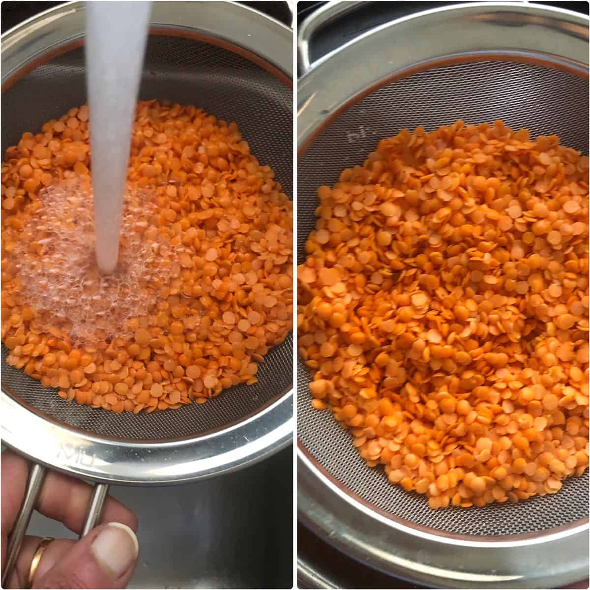 Washing red lentils in a sieve