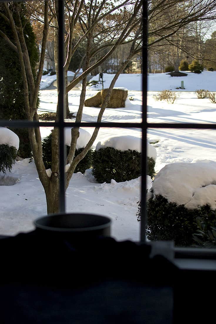 Taking food photos on snowy day