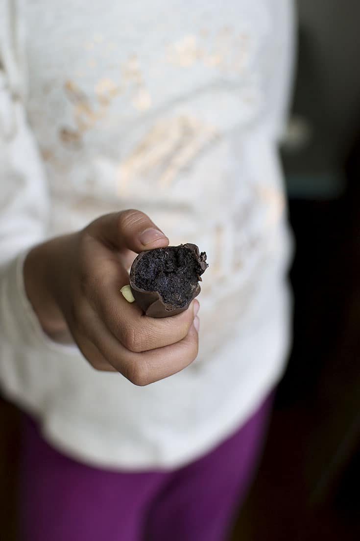 3 Ingredient Oreo Truffles