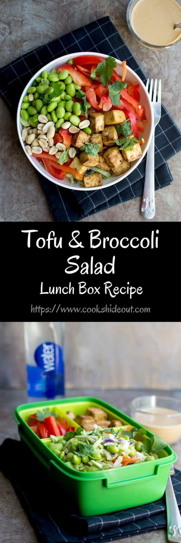 Tofu & Broccoli Salad Recipe Cook's Hideout