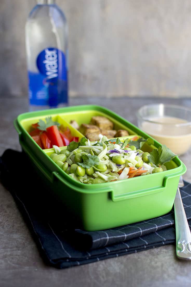 Broccoli and Tofu Salad with Peanut dressing