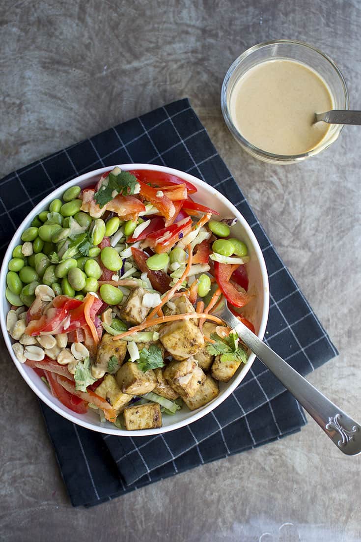 Broccoli and Tofu Salad with Peanut dressing