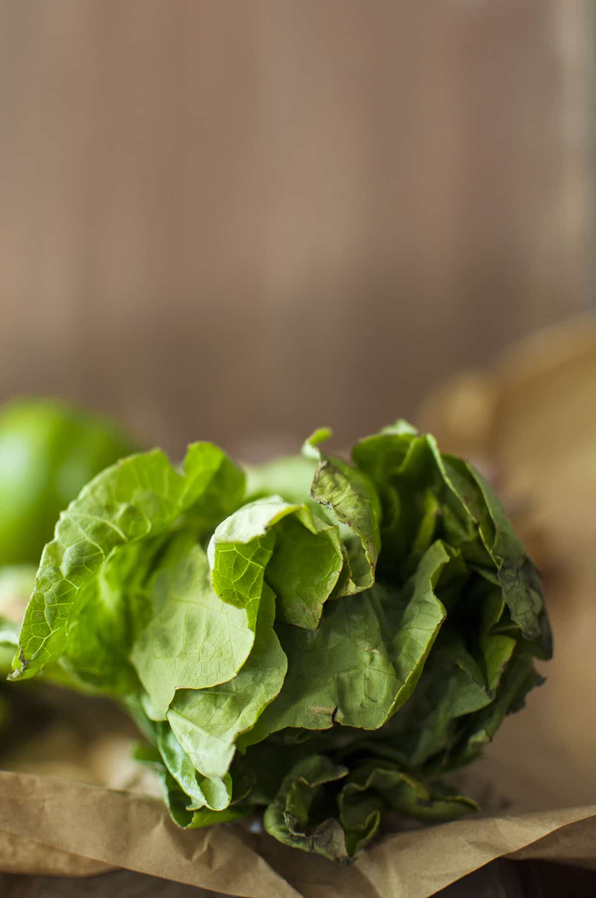 Brown paper with romaine lettuce