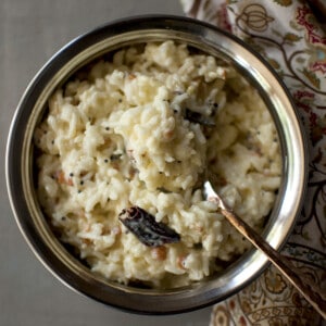 Steel bowl with curd rice
