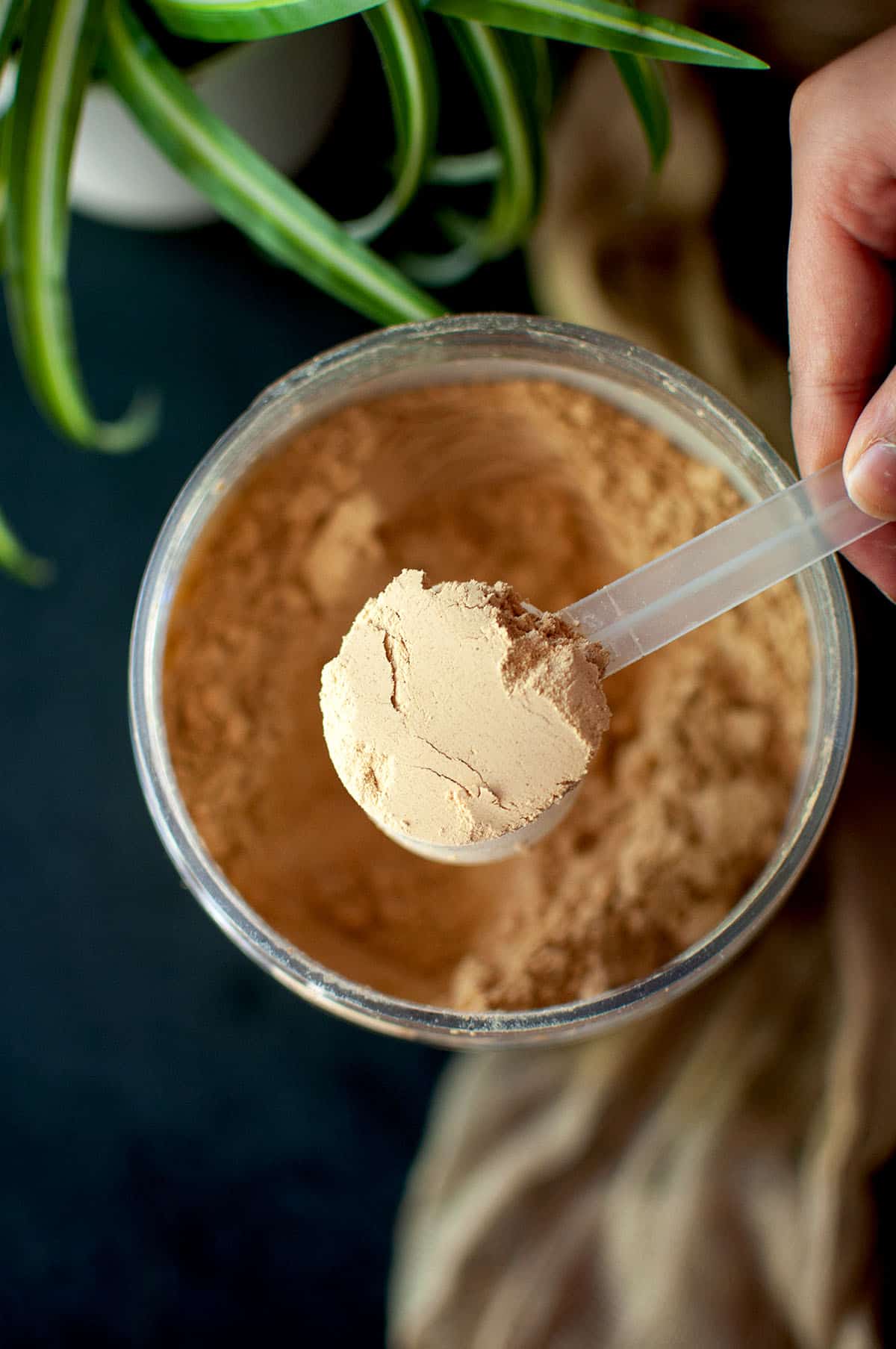 Hand holding a scoop with powder peanut butter.